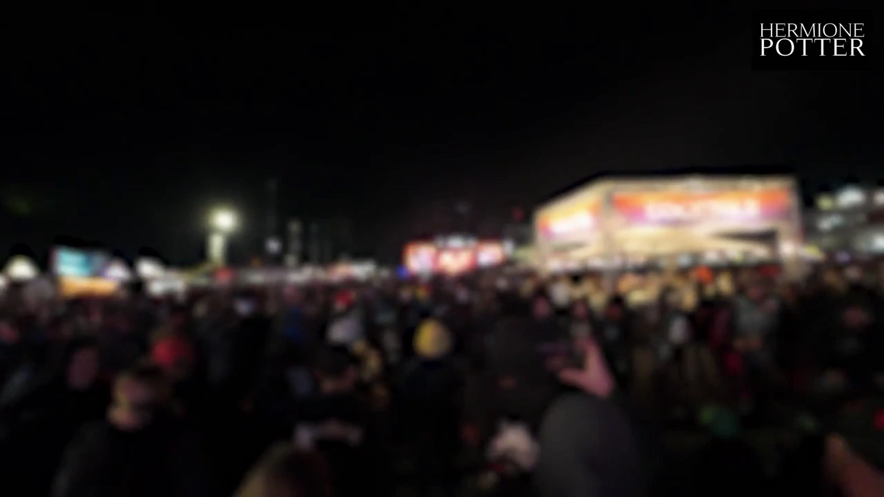 Rock am Ring 2024: A special adult vlog with a big cock facial scene. porn video