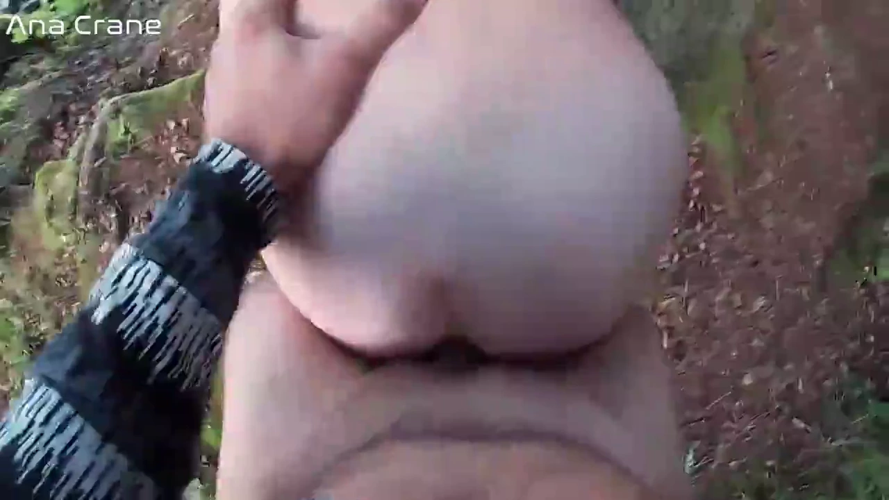 Horny tourist receives oral and anal sex in the woods porn video
