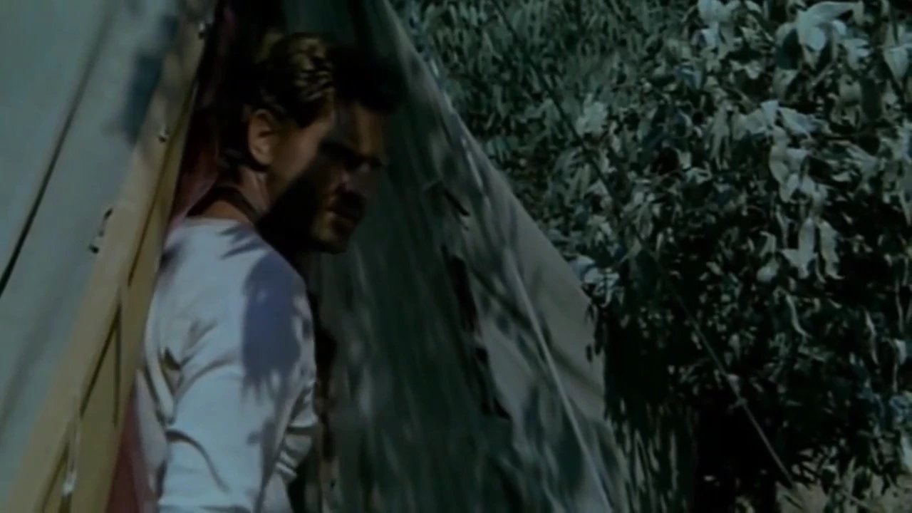 A married woman indulges in a steamy encounter with a black man, while her oblivious husband watches from the bushes. The forbidden tryst unfolds in a wild, outdoor setting, showcasing the woman's insatiable lust and her husband's impotent jealousy.